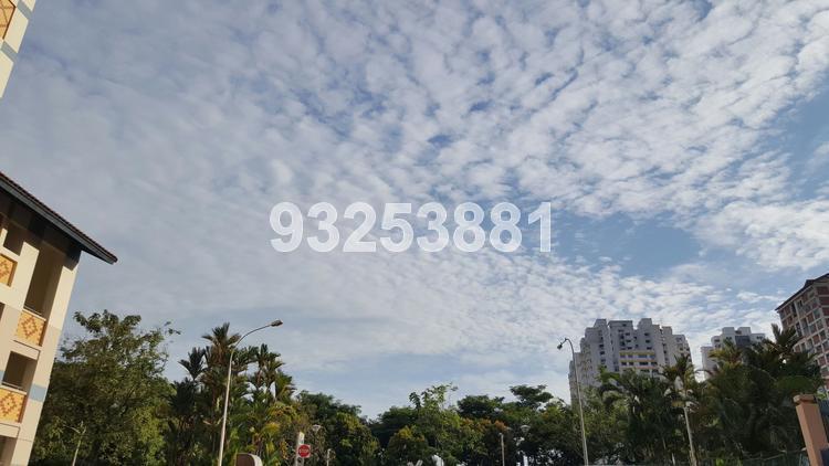 Blk 227 Bishan Street 23 (Bishan), HDB 4 Rooms #127888092